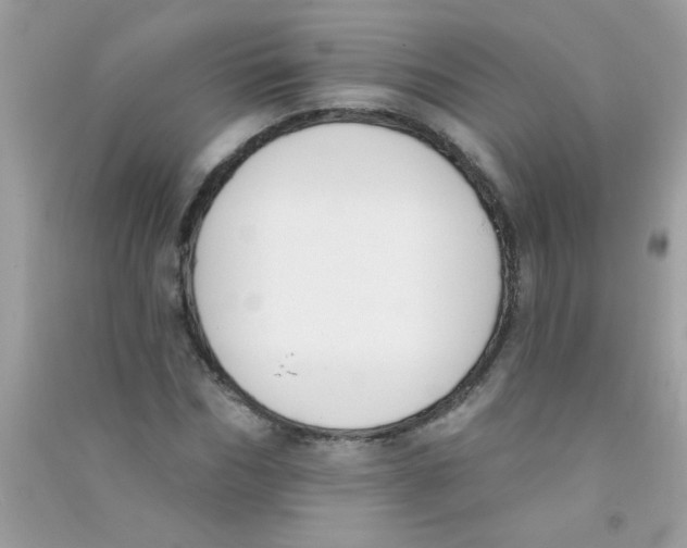 X0000090750970200708172024