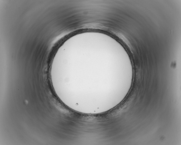 X0000090750971200708172024