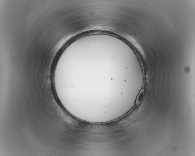 X0000090750972200708172024