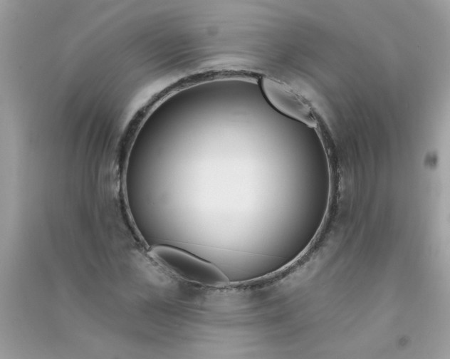 X0000090750973200708172024