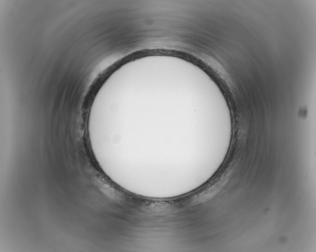 X0000090750974200708172024