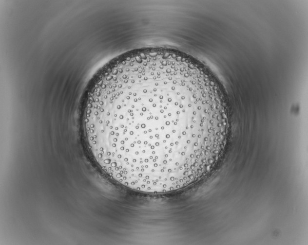 X0000090750975200708172024