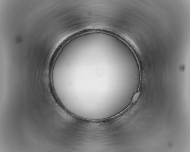 X0000090750976200708172024
