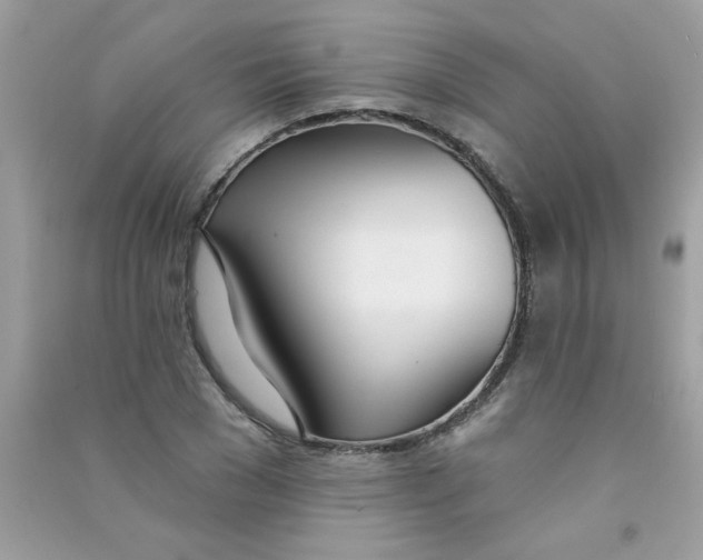 X0000090750977200708172024