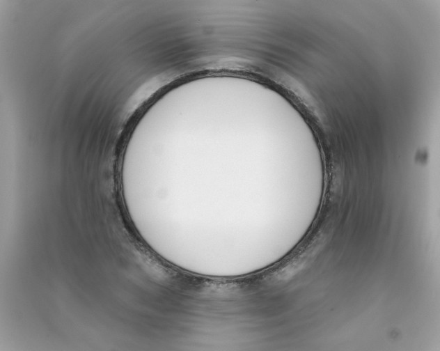 X0000090750978200708172024