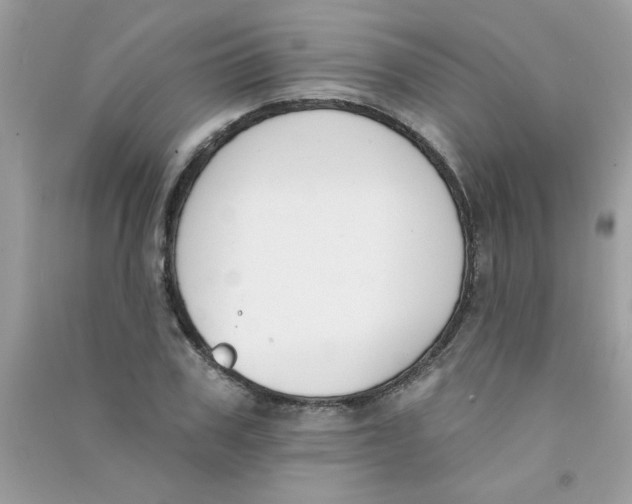 X0000090750979200708172024