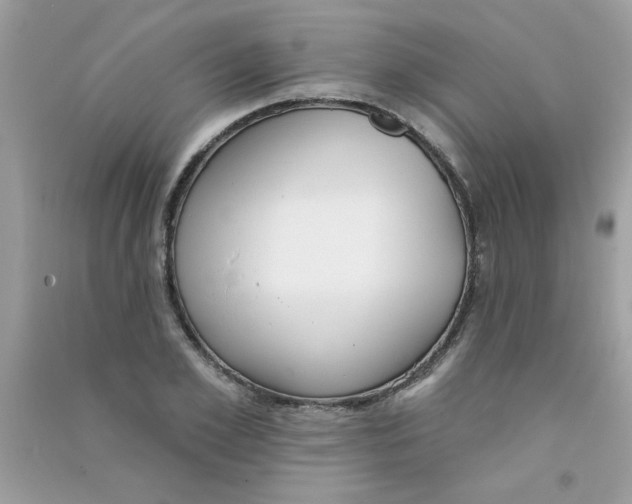 X0000090750981200708172024
