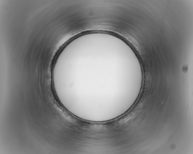 X0000090750982200708172024