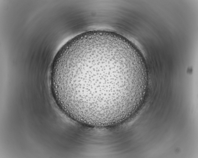 X0000090750983200708172024