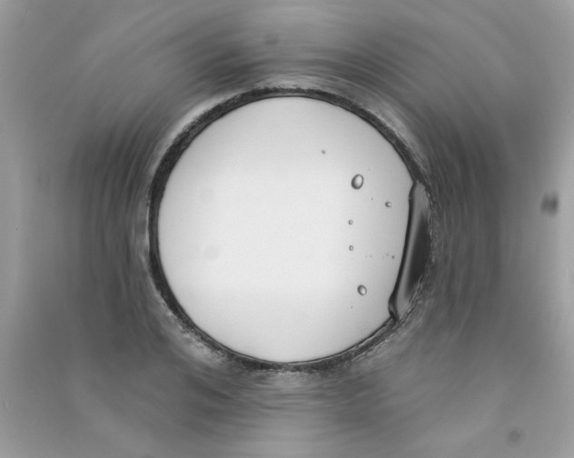 X0000090750984200708172024
