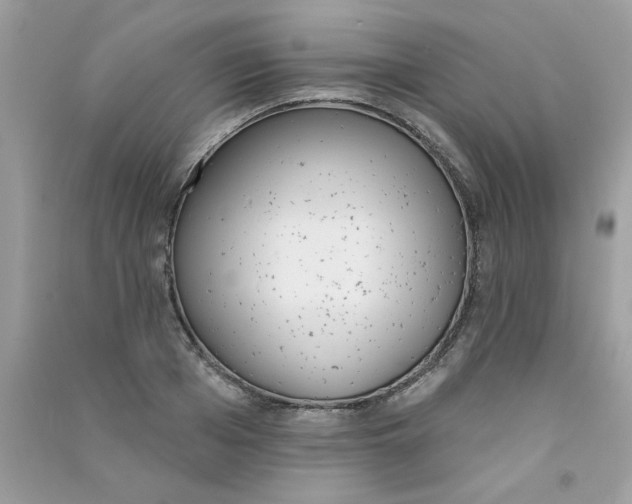 X0000090750985200708172024