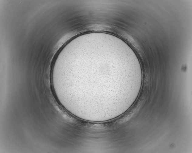 X0000090750986200708172024