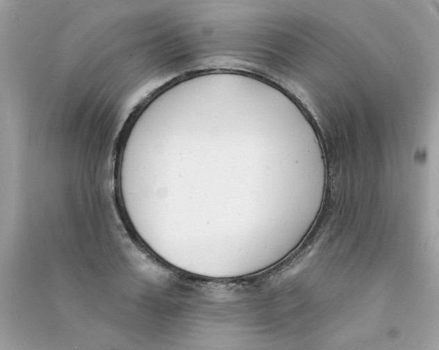 X0000090750987200708172024