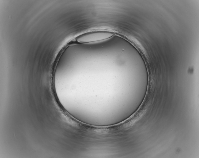 X0000090750989200708172024