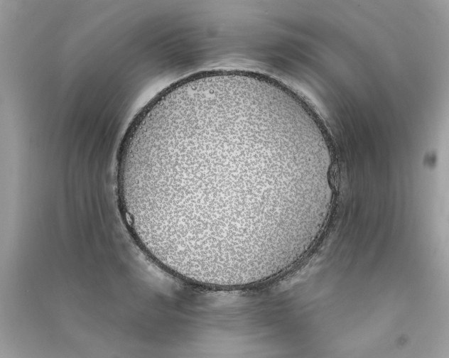 X0000090750990200708172024