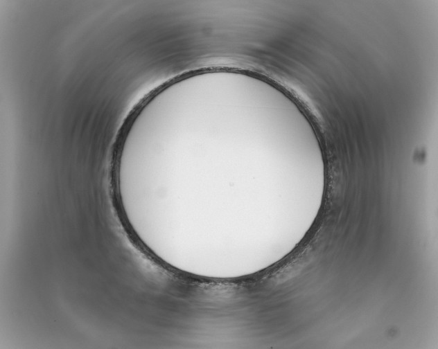 X0000090750991200708172024