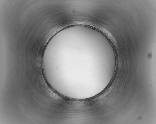 X0000090750993200708172024