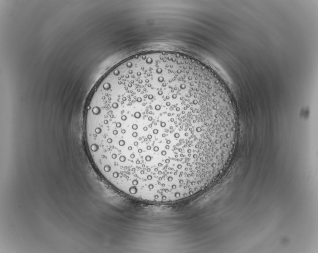 X0000090750994200708172024