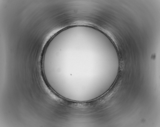 X0000090750995200708172024