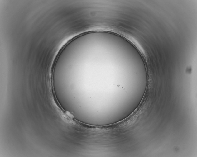 X0000090750996200708172024