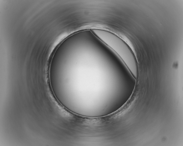 X0000090750997200708172024