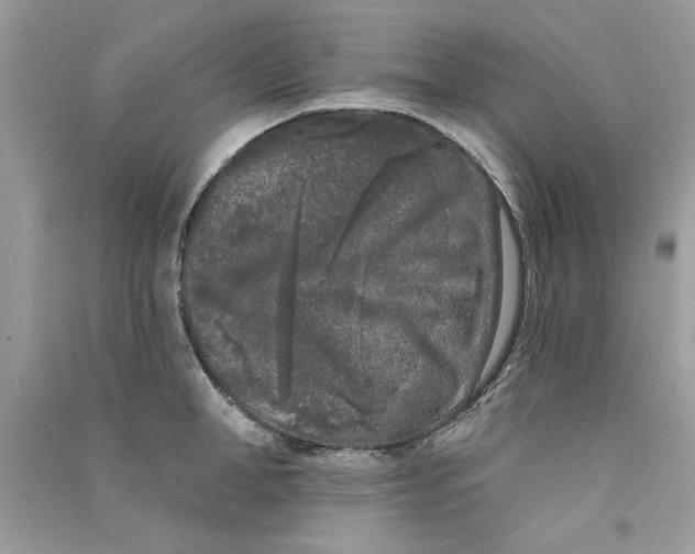 X0000090750998200708172023