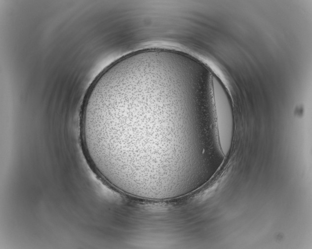 X0000090750999200708172023