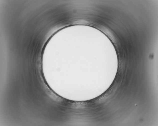 X0000090751000200708172023