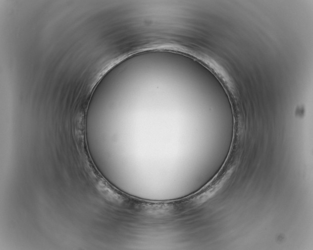 X0000090751001200708172023