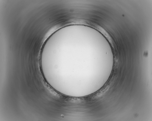 X0000090751002200708172023