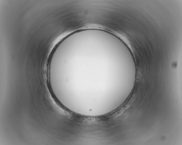 X0000090751003200708172023