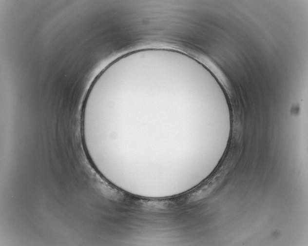X0000090751004200708172023
