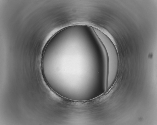 X0000090751005200708172023