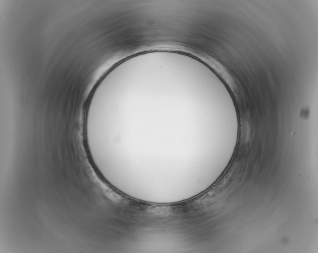 X0000090751006200708172023