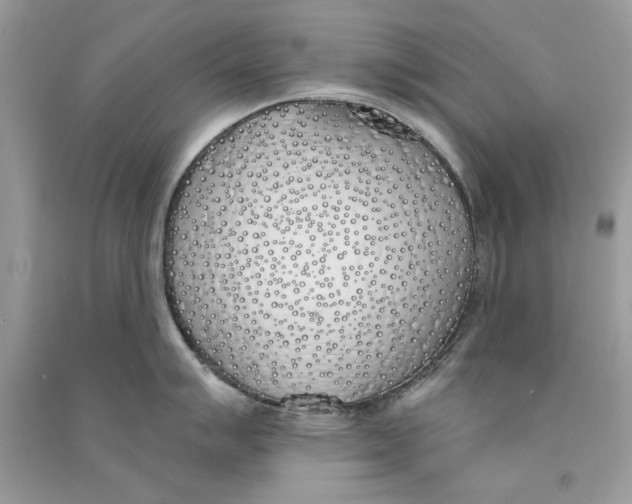 X0000090751007200708172023
