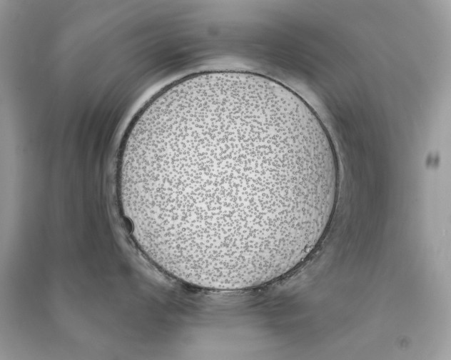 X0000090751008200708172023