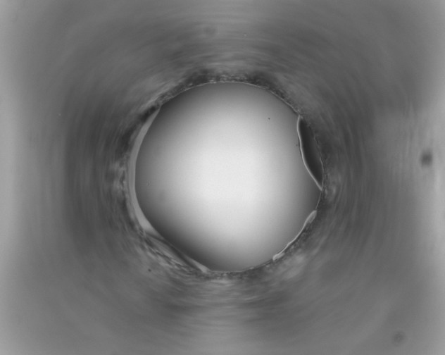 X0000090751010200708172023