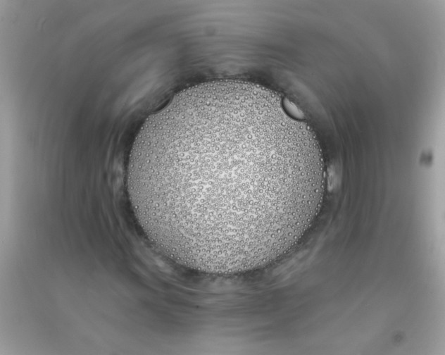 X0000090751011200708172023