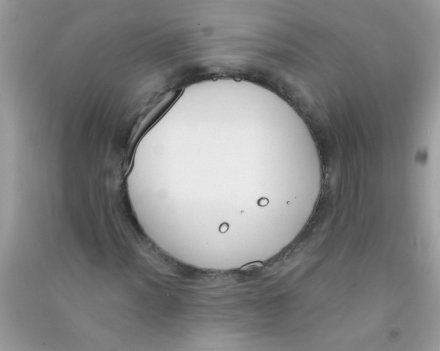 X0000090751012200708172023