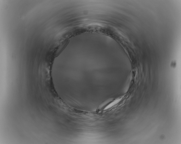 X0000090751013200708172023
