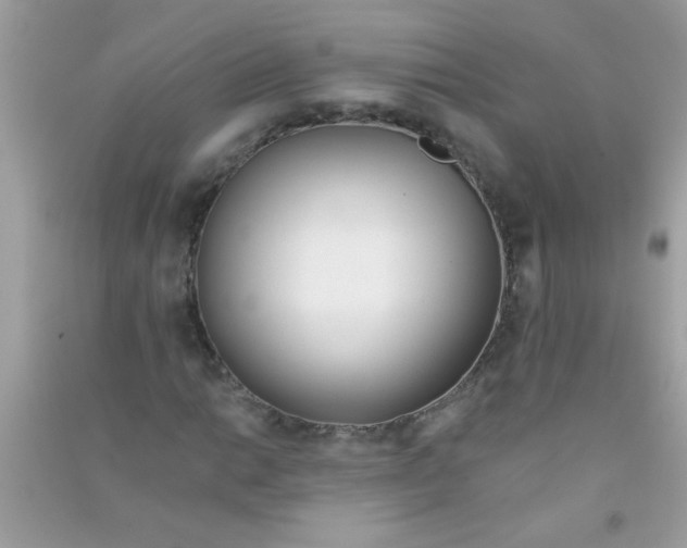 X0000090751014200708172023