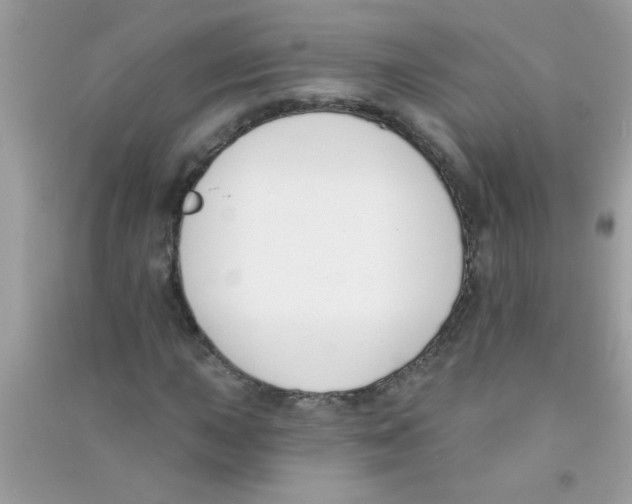 X0000090751015200708172023