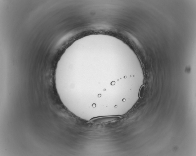 X0000090751016200708172023