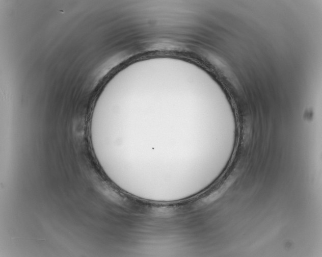 X0000090751017200708172023