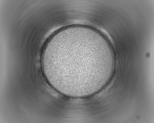 X0000090751019200708172023