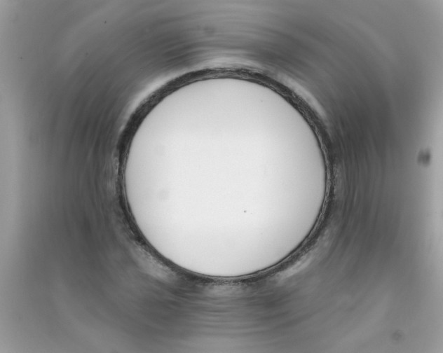 X0000090751021200708172023