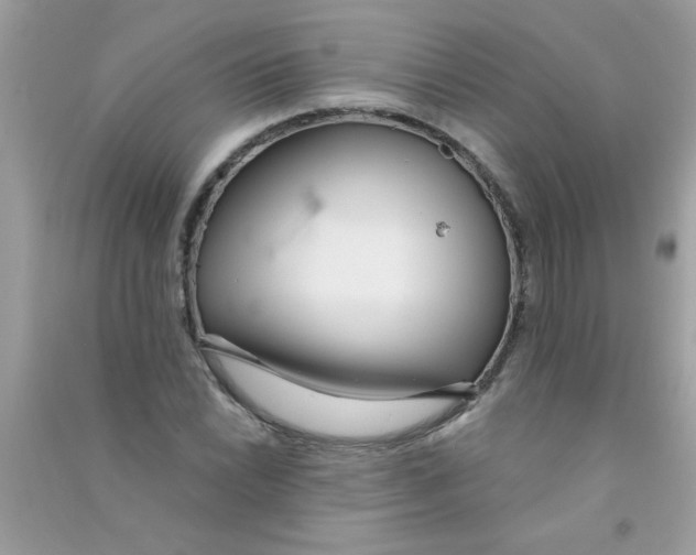 X0000090751022200708172023