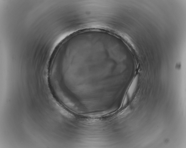 X0000090751024200708172023