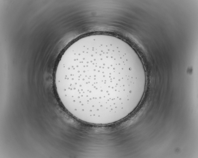 X0000090751025200708172023