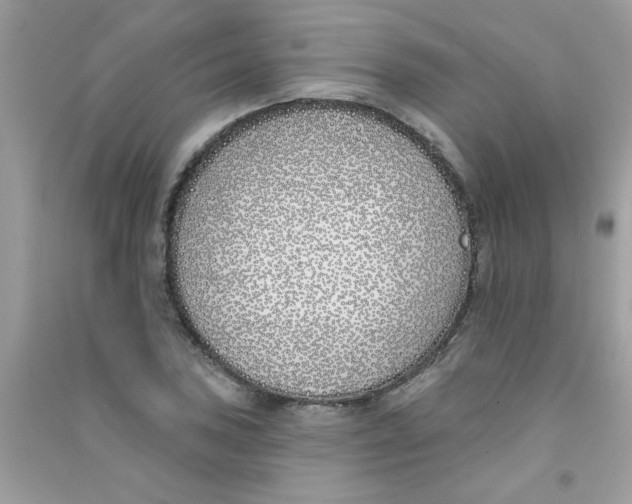 X0000090751027200708172023